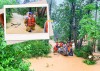 Thành viên Trung đội Phản ứng nhanh Công an TP. Đông Hà giúp người dân trong mưa bão - Ảnh: T.L