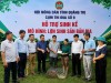 Cụm thi đưa số 9 (Hội Nông dân tỉnh Quảng Trị): Trao sinh kế bền vững thông qua mô hình "lợn sinh sản bản địa".