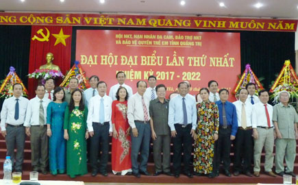 Đại hội Hội NKT, nạn nhân da cam, bảo trợ NKT và bảo vệ quyền trẻ em tỉnh lần thứ nhất, nhiệm kỳ 2017- 2022