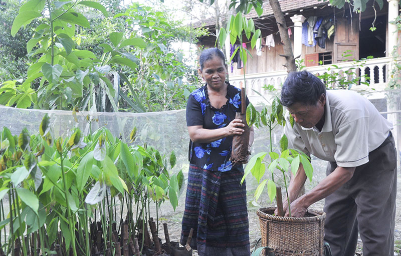 Nhiều gia đình đã vươn lên thoát nghèo nhờ Quỹ Hỗ trợ nông dân