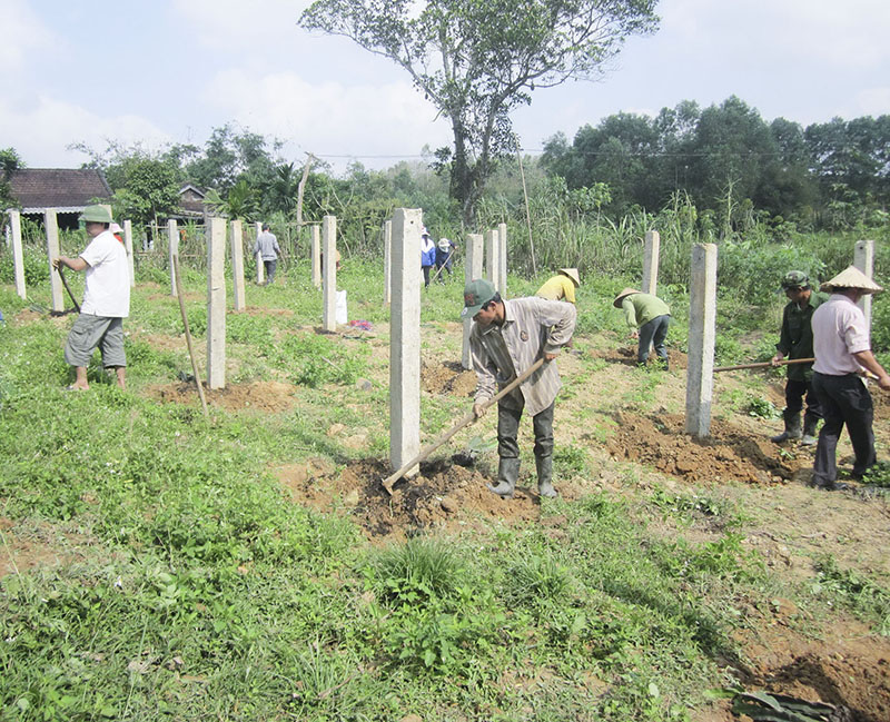 Mô hình trồng cây thanh long ở Vĩnh Hà, Vĩnh Linh