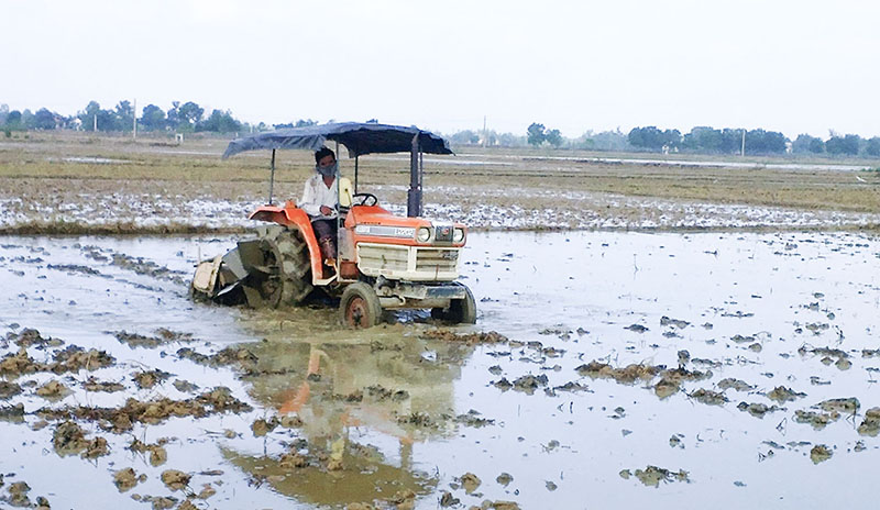 Làm tốt công tác dồn điền đổi thửa đã tạo thuận lợi cho việc đưa máy móc vào sản xuất nông nghiệp - Ảnh: PV