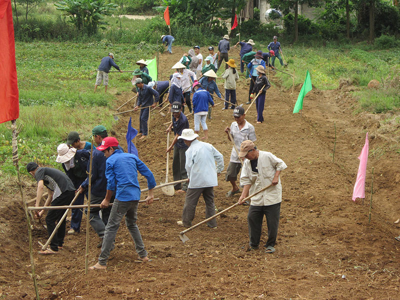 Xây dựng nông thôn mới đang thu hút đông đảo người dân tham gia