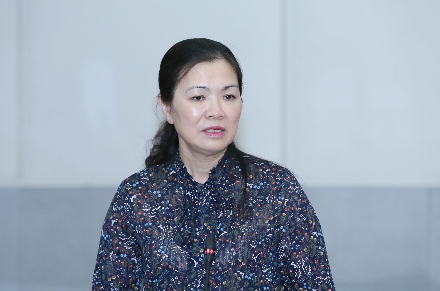 Phó Chủ tịch Trương Thị Ngọc Ánh phát biểu tại cuộc họp.