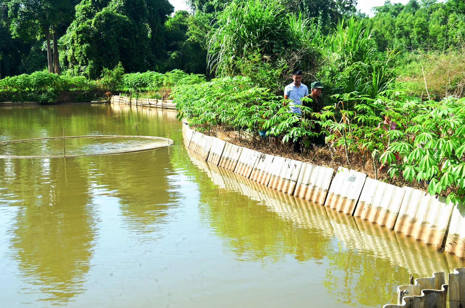 Có đất sản xuất, các hộ dân tộc thiểu số ở huyện Hướng Hóa có điều kiện vươn lên thoát nghèo, làm giàu chính đáng