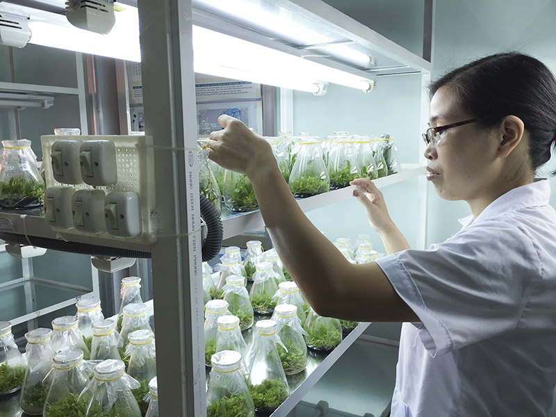 Phụ nữ tham gia ngày càng nhiều vào công tác nghiên cứu. Ảnh: HVA