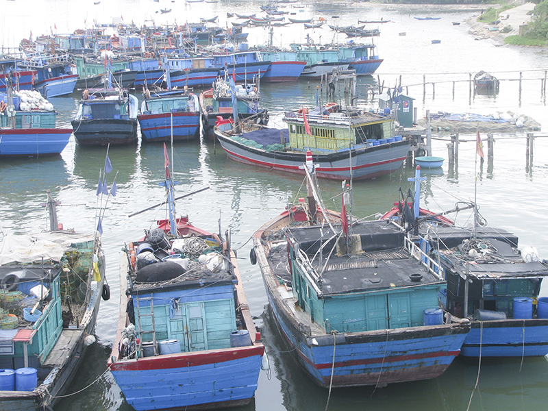 Đội tàu đánh bắt hải sản ở thị trấn Cửa Việt, Gio Linh