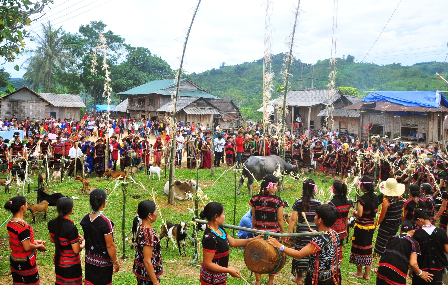 Ariêu piing là lễ hội truyền thống độc đáo của người Pa Kô ở miền tây Quảng Trị