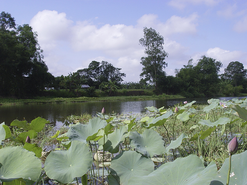 Môi trường nông thôn Quảng Trị đang hướng tới tiêu chí xanh, sạch, đẹp. Ảnh: PV