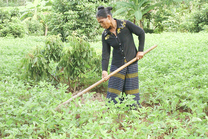 Người dân bản Kỳ Nơi chăm sóc hoa màu. Ảnh: Võ Thị Loan