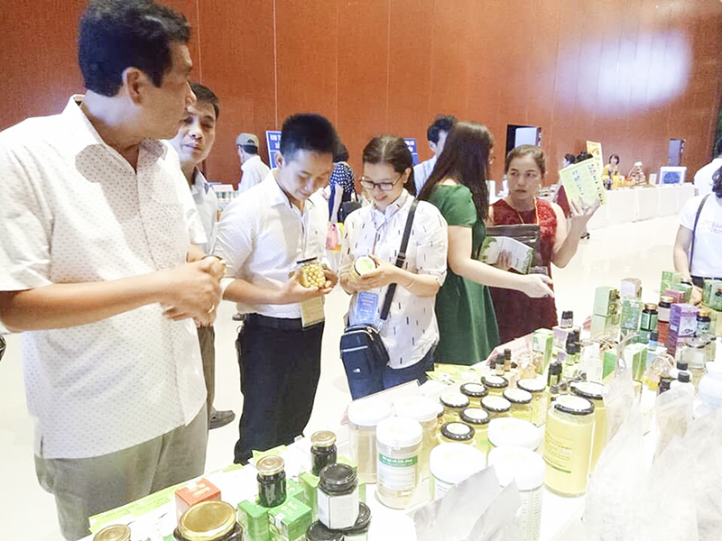 Các doanh nghiệp, cơ sở sản xuất nông sản tỉnh Quảng Trị tìm kiếm cơ hội kết nối cung - cầu tại hội nghị “Kết nối cung - cầu khu vực miền Trung - Tây Nguyên” năm 2018