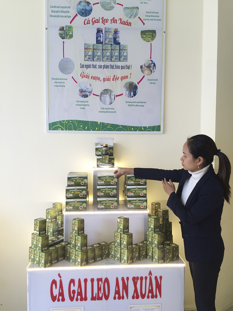 Sản phẩm cà gai leo An Xuân có mặt trong cửa hàng giới thiệu đặc sản nông sản Quảng Trị