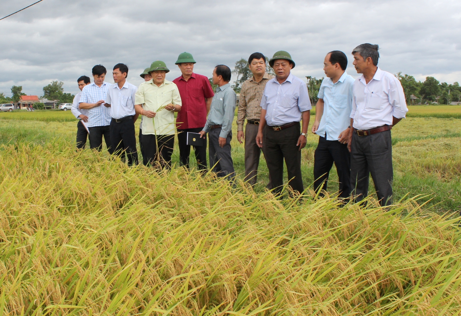 Phó Chủ tịch UBND tỉnh Hà Sỹ Đồng kiểm tra tình hình thu hoạch lúa tại HTX Tam Hữu