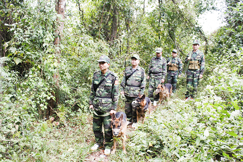 Tuần tra biên giới