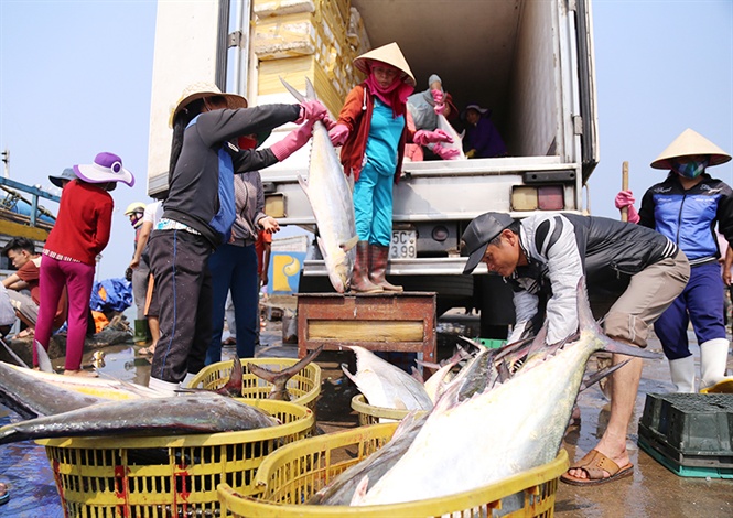 Khu hậu cần nghề cá Cửa Việt
