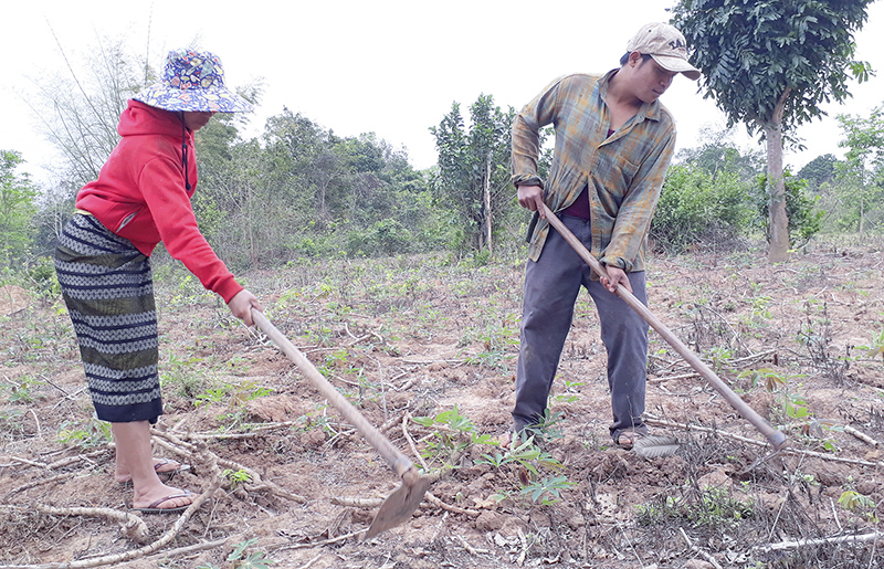 Nhiều thanh niên ở xã Thanh vượt khó vươn, lên làm giàu từ sản xuất nông nghiệp