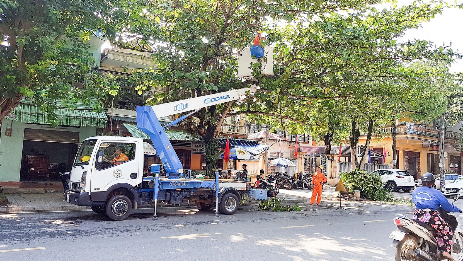Cắt tỉa cây xanh trước mùa mưa bão 2018
