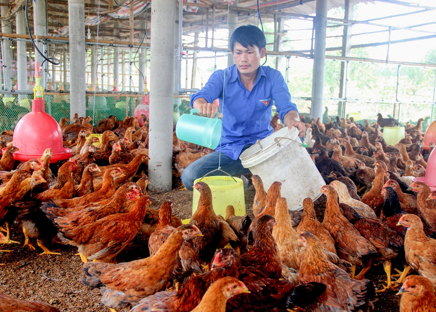 Sự phát triển của các mô hình kinh tế do đoàn viên thanh niên làm chủ góp phần đưa huyện Gio Linh phát triển