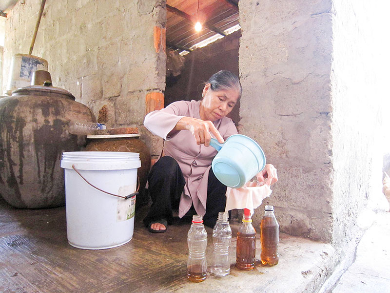 Người cao tuổi hăng say lao động, phát triển kinh tế, góp phần nâng cao vai trò, vị thế trong mọi mặt của đời sống xã hội