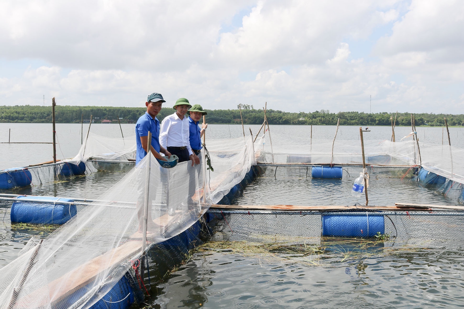 Tham quan mô hình nuôi cá trắm của anh Lê Đình Định, ở thôn Thủy Tú 1, xã Vĩnh Tú, huyện Vĩnh Linh