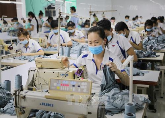 Ảnh minh họa / TTXVN.