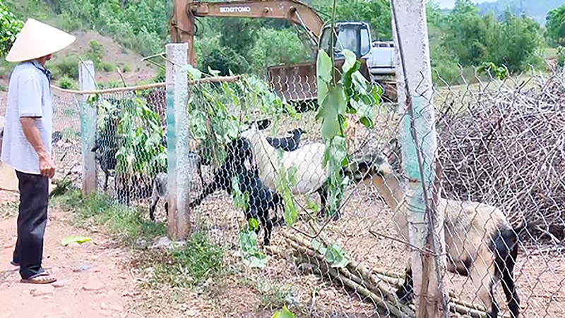 Việc triển khai mô hình chăn nuôi dê tại xã Húc Nghì nhằm tổ chức lại sản xuất theo hướng nâng cao giá trị gia tăng, phát triển bền vững, thích ứng với biến đổi khí hậu