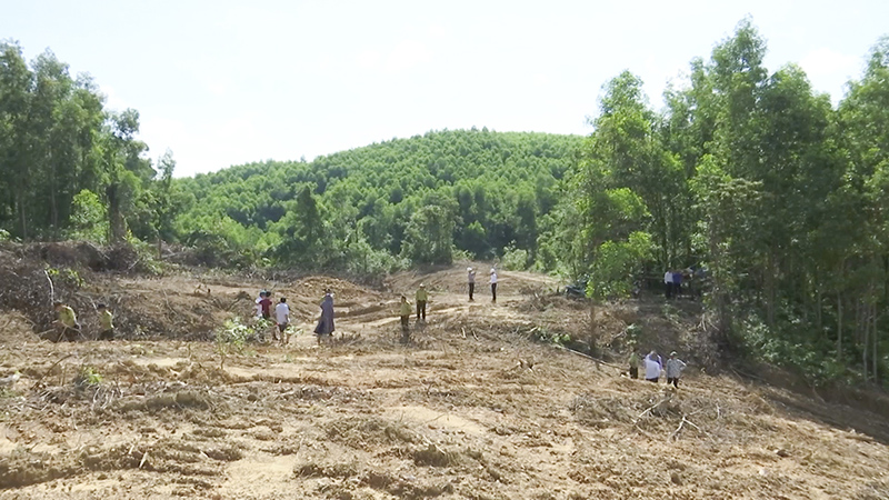 Thực trạng đất rừng ở tiểu khu 586, xã Vĩnh Hà, huyện Vĩnh Linh bị san ủi để trồng rừng trái phép