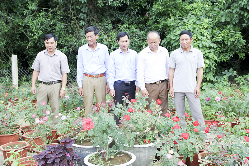 Từ phong trào thi đua “Làm giàu cho mình, làm giàu cho quê hương” đã xuất hiện nhiều tấm gương hội viên nông dân sản xuất, kinh doanh giỏi