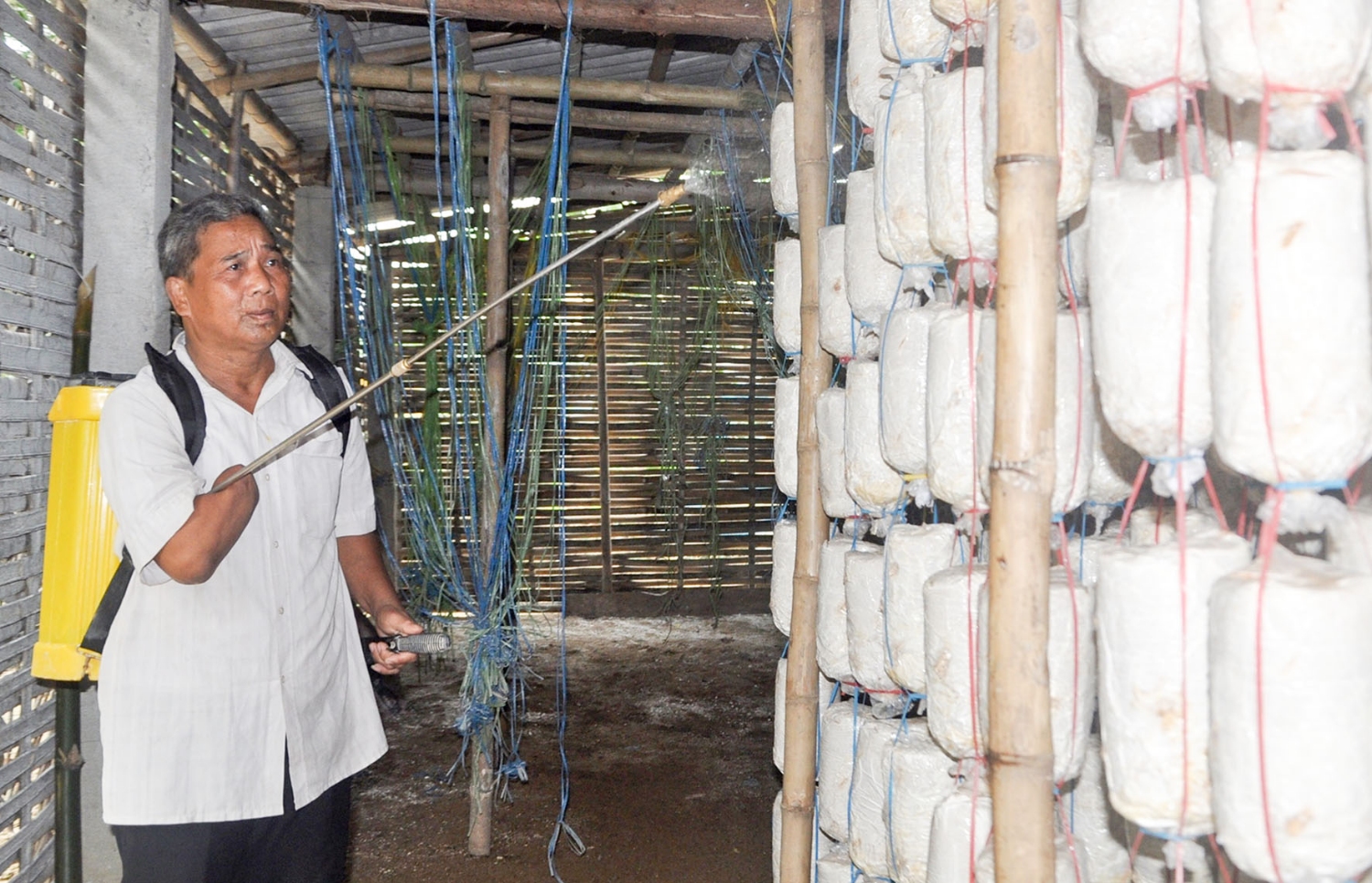 Người khuyết tật được Dự án RENEW hỗ trợ để phát triển kinh tế