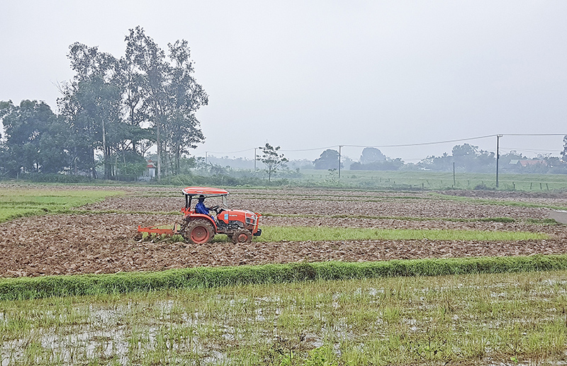 Sử dụng máy cày cỡ lớn để cày lật, cày vùi gốc rạ, cỏ dại