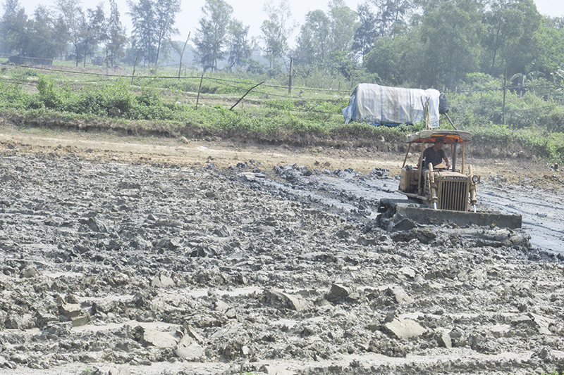 Cải tạo ao nuôi tôm ở xã Triệu Phước