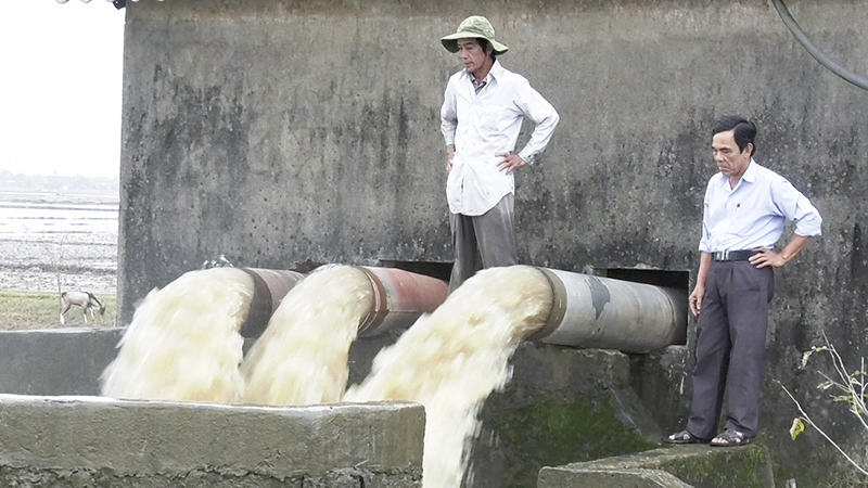 Huy động máy bơm để tiêu úng, đảm bảo tiến độ gieo sạ vụ đông xuân ở Hải Lăng​