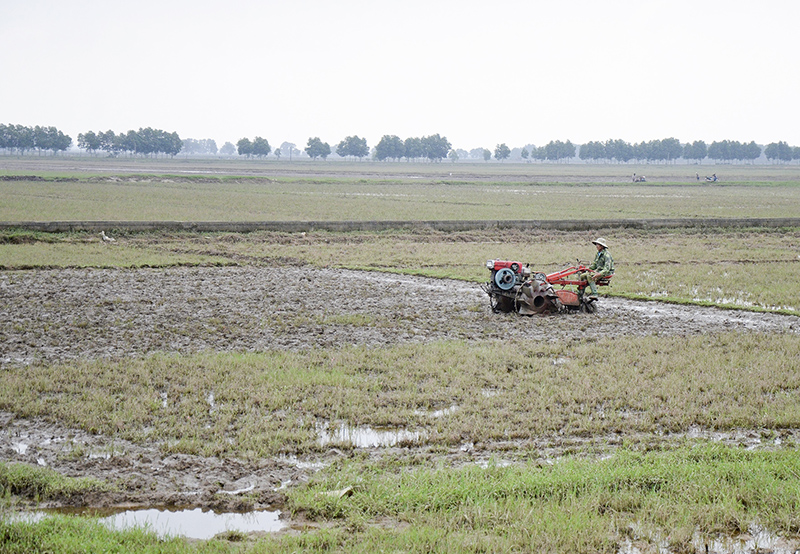 Khẩn trương làm đất để kịp gieo cấy vụ đông xuân