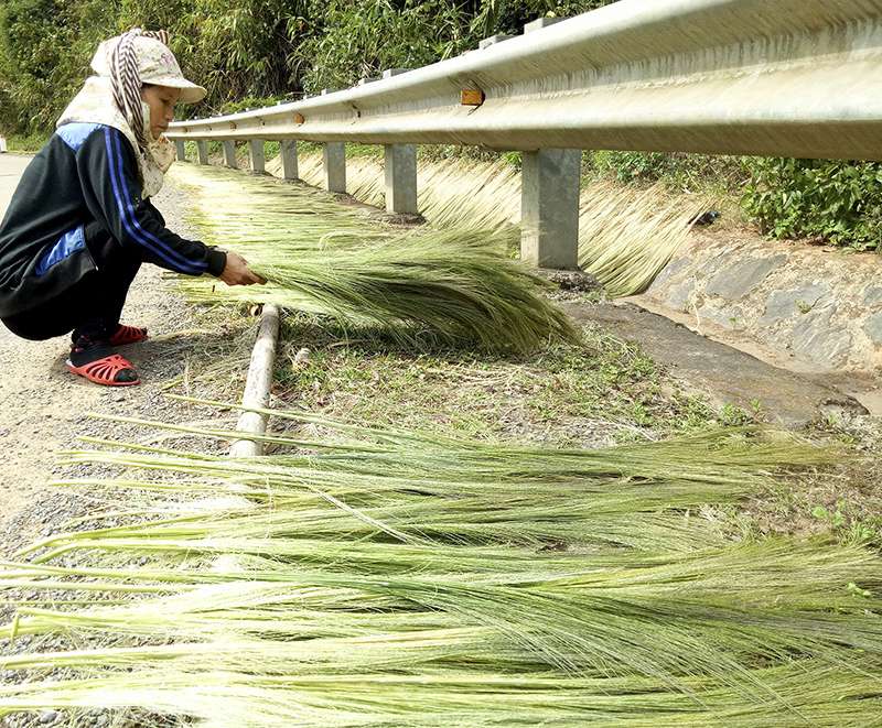 Người dân xã Hướng Phùng phơi đót​
