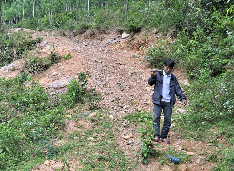 Anh Hồ Văn Dế chăm sóc trang trại