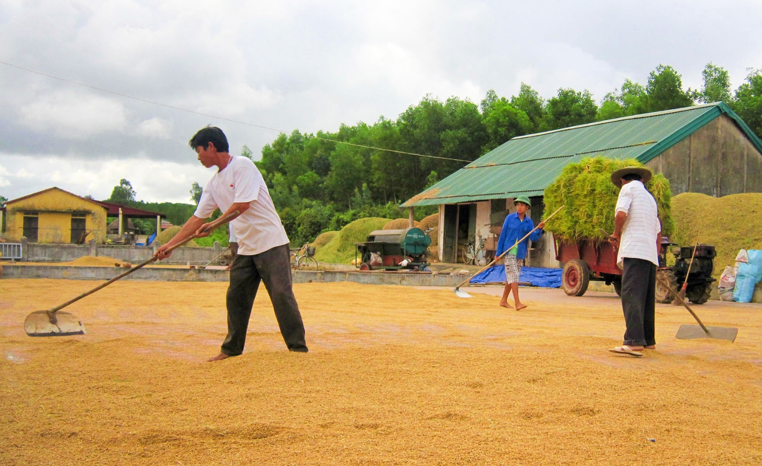 Việc giải thể các hợp tác xã yếu kém, ngừng hoạt động nhằm thúc đẩy kinh tế hợp tác xã phát triển. (Ảnhminh họa)