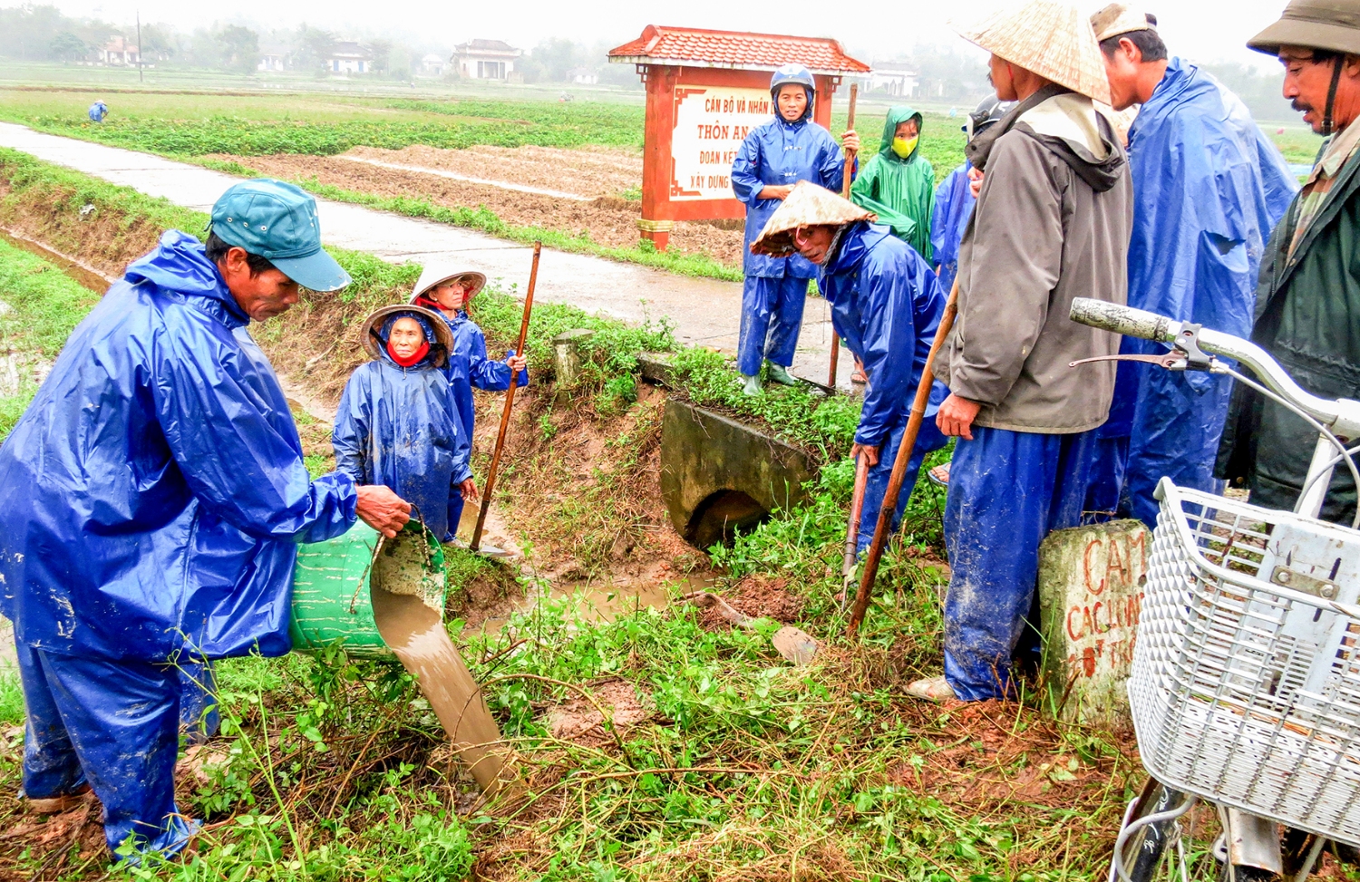 Người dân ra quân diệt chuột gây hại vụ đông – xuân​