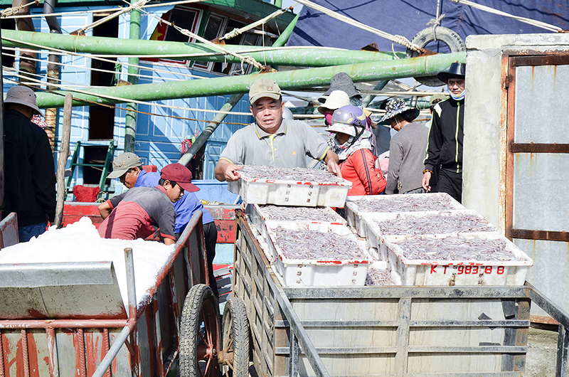 Các tàu xa bờ đã góp phần nâng cao sản lượng khai thác thủy sản