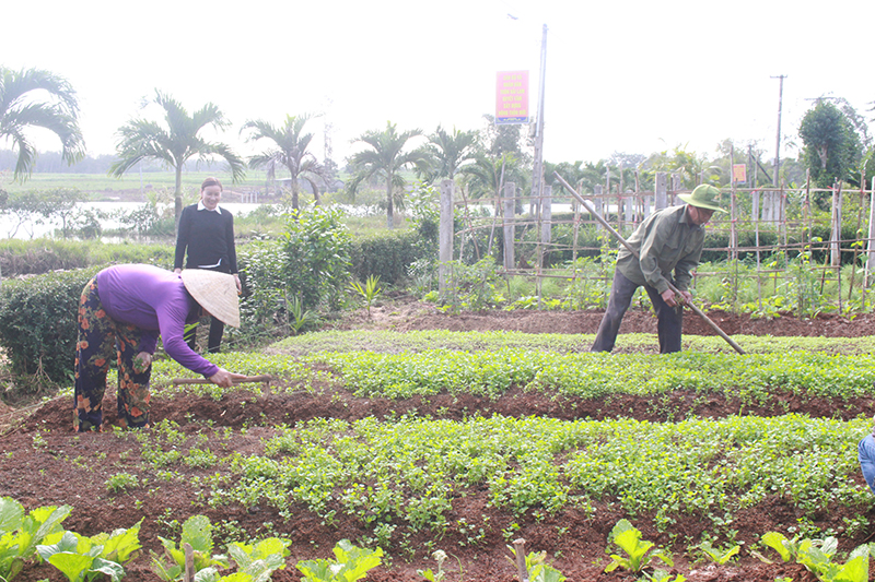 Cuộc sống yên bình ở làng Hải Lam, xã Linh Hải, Gio Linh​