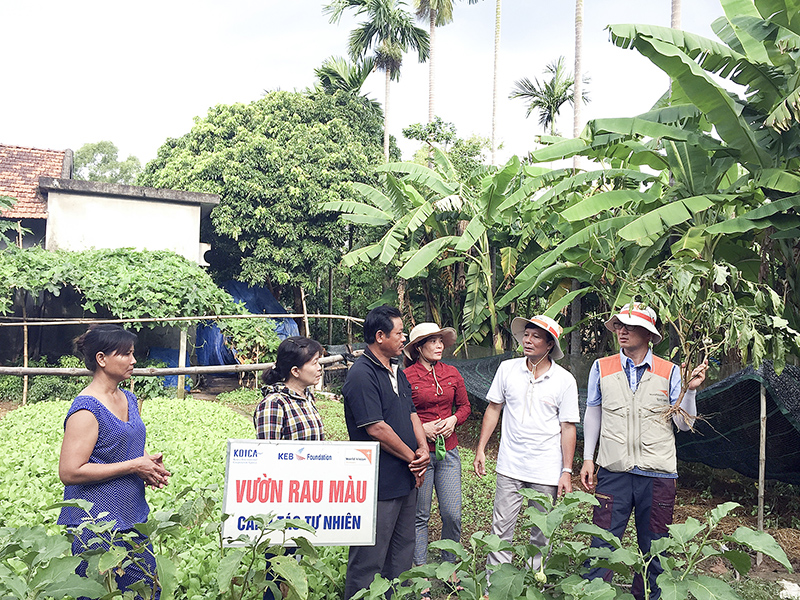 Tiến sỹ Chang Pyo Lee (ngoài cùng, bên phải) hướng dẫn canh tác rau phương pháp tự nhiên