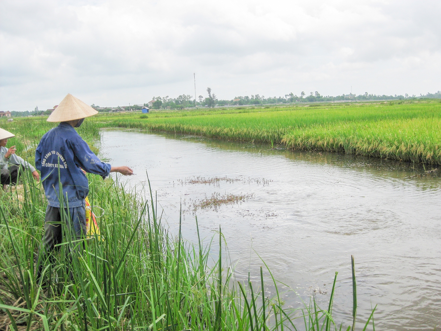 Khu vực dự kiến xây dựng Vùng nuôi cá HTX Thủy Đông