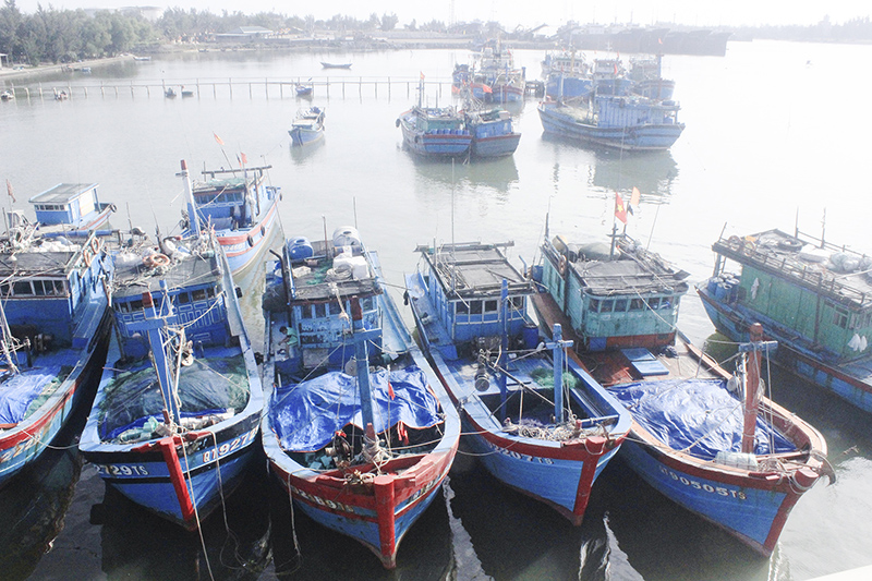 Nhiều tàu xa bờ của ngư dân thị trấn Cửa Việt sẵn sàng ra khơi​