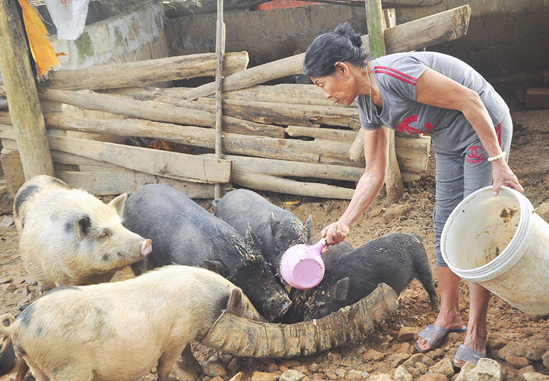 Quang Hiep   Vuon len 1