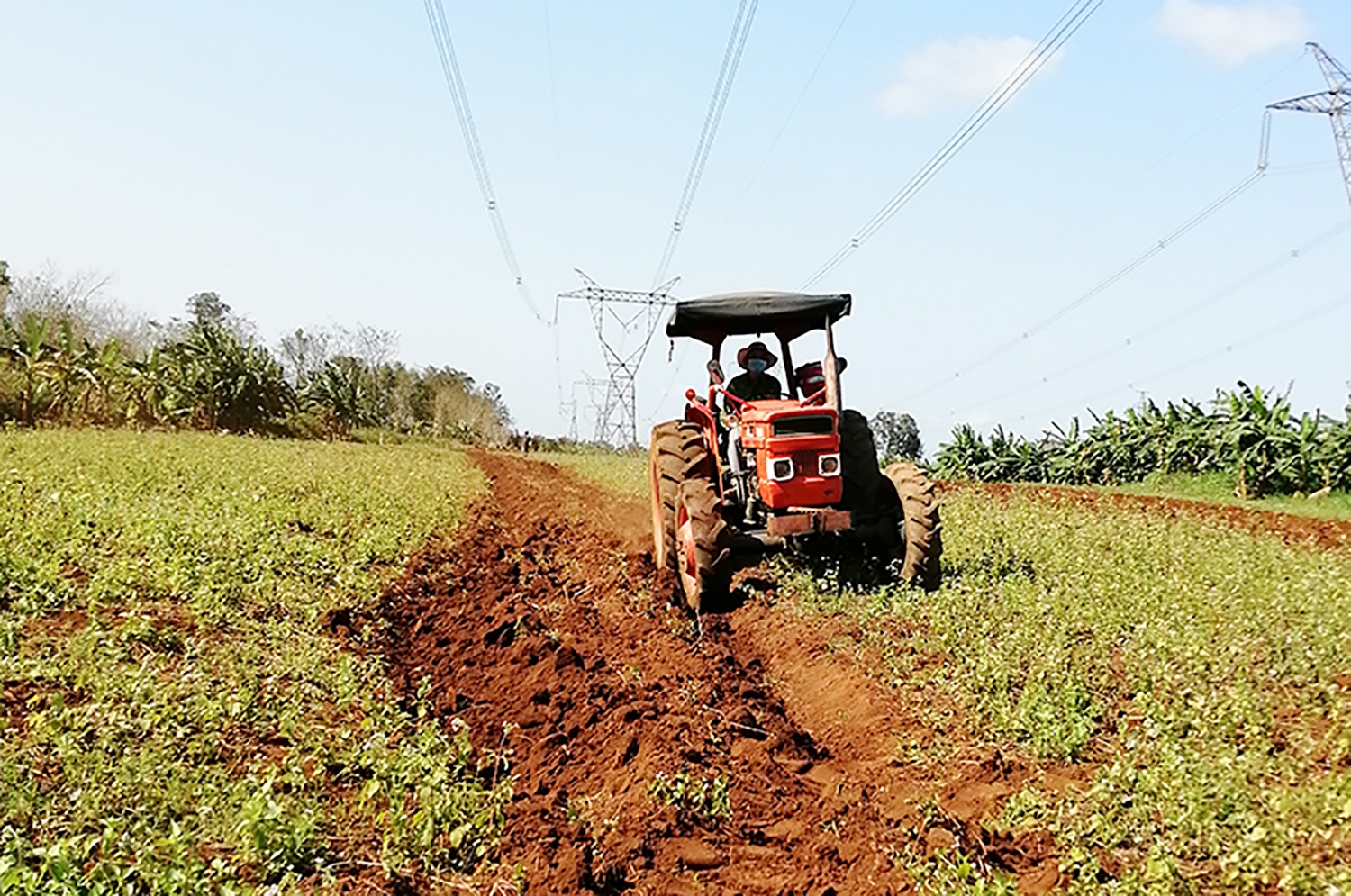 Nông dân xã Gio An, huyện Gio Linh khẩn trương làm đất trồng sắn