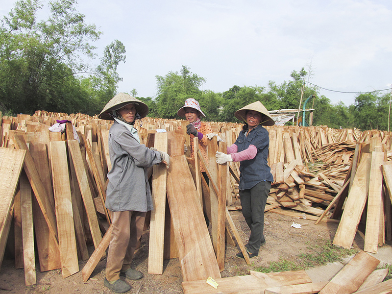 Sản xuất, chế biến gỗ rừng trồng tại Cụm công nghiệp Ái Tử, Triệu Phong​