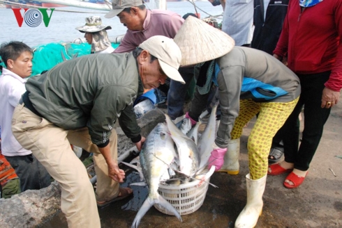 Ngư dân phấn khởi đưa cá lên bờ.