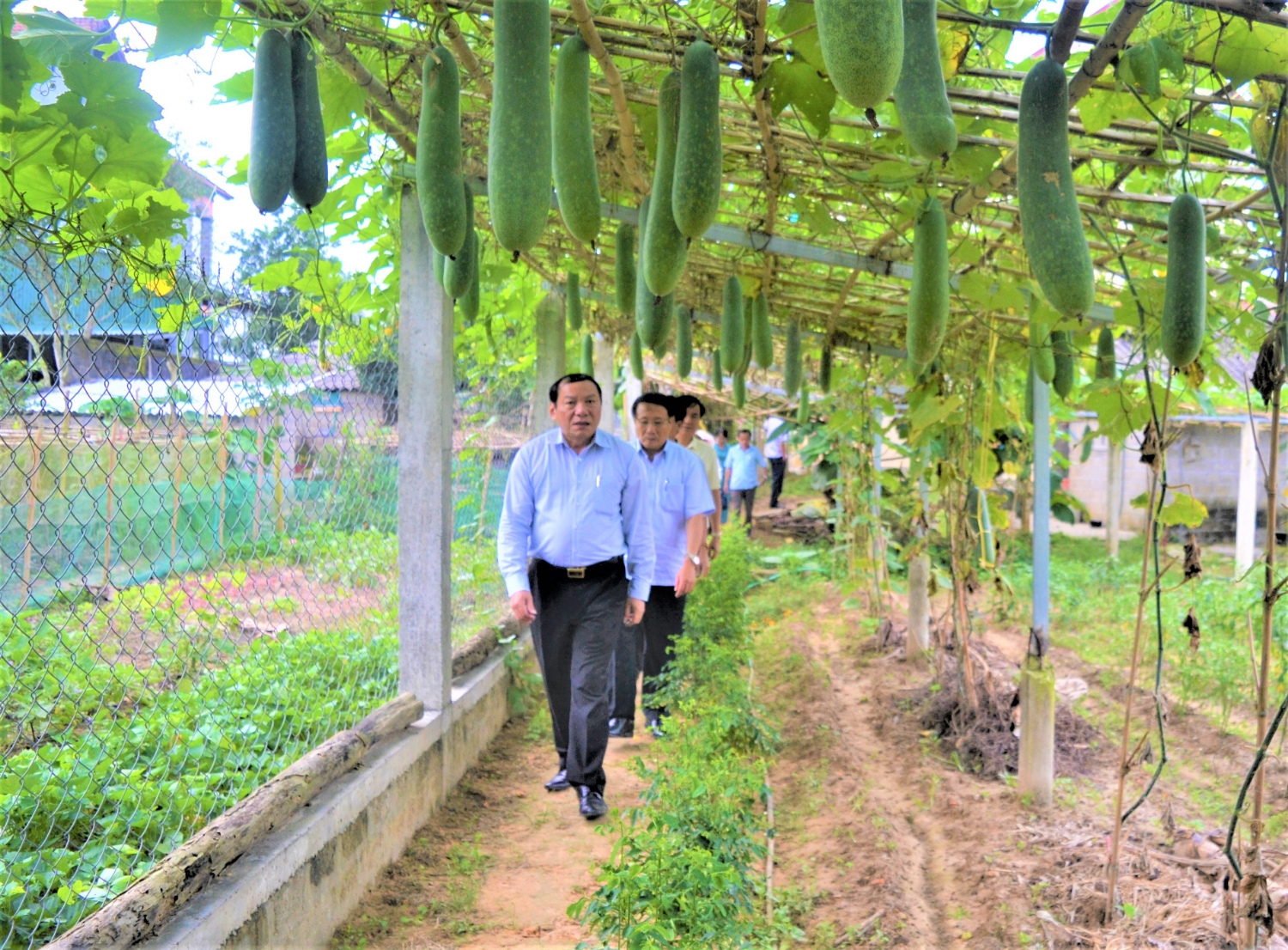 Bí thư Tỉnh ủy Nguyễn Văn Hùng thăm vườn mẫu NTM của gia đình ông Hoàng Ngọc Rạng ở thôn Vĩnh An, xã Cam Hiếu