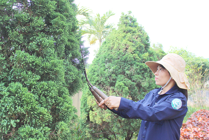 Công việc gì được đơn vị giao, chị Nhung đều nỗ lực hoàn thành tốt