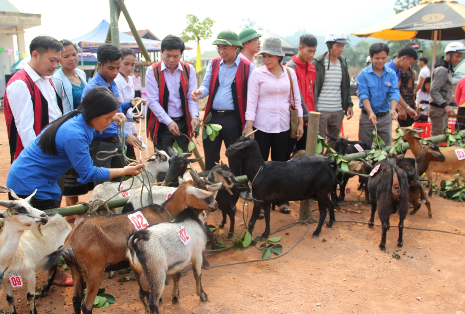 Trao tặng dê giống cho các gia đình gặp hoàn cảnh khó khăn ở xã Tà Long