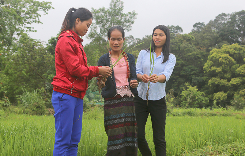 Chị Quyên (giữa) thường xuyên tuyên truyền, vận động, hướng dẫn người dân chuyển đổi sản xuất phù hợp